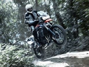 Triumph Tiger 800/800XC 