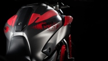 1 2015 Yamaha MT 07 Moto Cage02