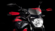 1 2015 Yamaha MT 07 Moto Cage07