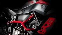 1 2015 Yamaha MT 07 Moto Cage13