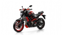 2 2015 Yamaha MT 07 Moto Cage15