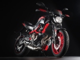 2 2015 Yamaha MT 07 Moto Cage22