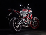 2 2015 Yamaha MT 07 Moto Cage23