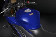 1 2019 Yamaha YZF R3 (10)