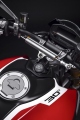1 Ducati Monster 30 Anniversario (14)