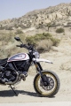 1 Ducati Scrambler Desert Sled4