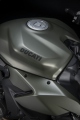 1 Ducati Streetfighter V2 2023 Storm Green (10)