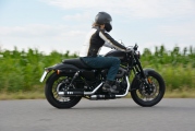 1 Harley Davidson 1200 Roadster test25