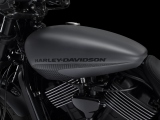 1 Harley Davidson 2017 Street Rod20