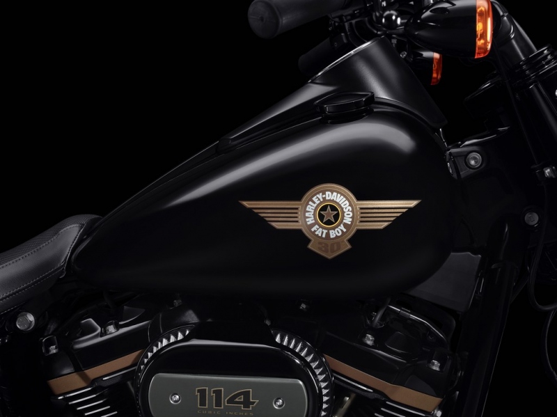 Harley-Davidson Fat Boy 30th Anniversary 2020: speciální limitovaná edice - 5 - 1 Harley Davidson 30th Anniversary Fat Boy 2020 (6)