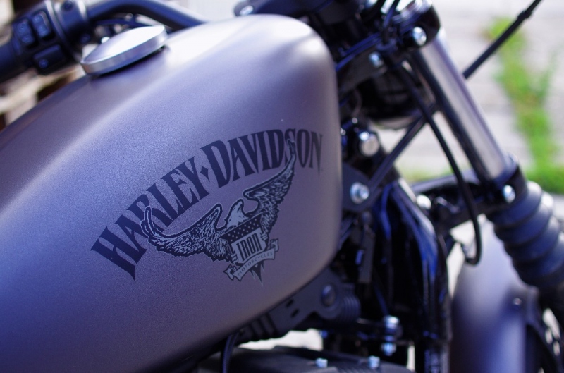 Test Harley-Davidson Iron 883 2016: neodolatelné železo - 8 - 1 Harley Davidson Iron 883 2016 test09