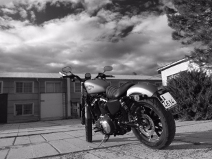 Test Harley-Davidson Iron 883 2016: neodolatelné železo
