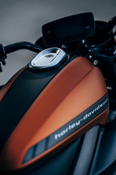 Harley-Davidson LiveWire 2019: elektrický cruiser - 10 - 1 Harley Davidson LiveWire 2019 (11)