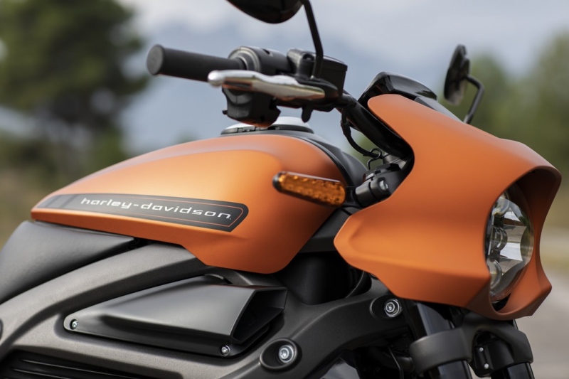 Harley-Davidson LiveWire 2019: elektrický cruiser - 5 - 1 Harley Davidson LiveWire 2019 (5)