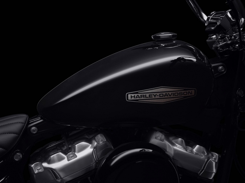 Harley-Davidson Softail Standard 2020: stylový bobber - 5 - 1 Harley Davidson Softail Standard 2020 (4)
