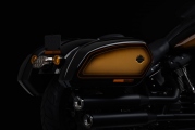 1 Harley Davidson Tobacco Fade Low Rider ST (2)