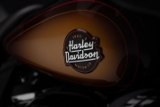 1 Harley Davidson Tobacco Fade Ultra Limited (2)