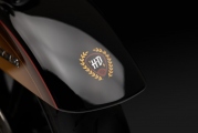 1 Harley Davidson Tobacco Fade Ultra Limited (3)