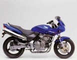 2 Honda CB600F Hornet 1998