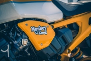 1 Honda_Monkey_Kong_and_Yellow_Monkey (2)