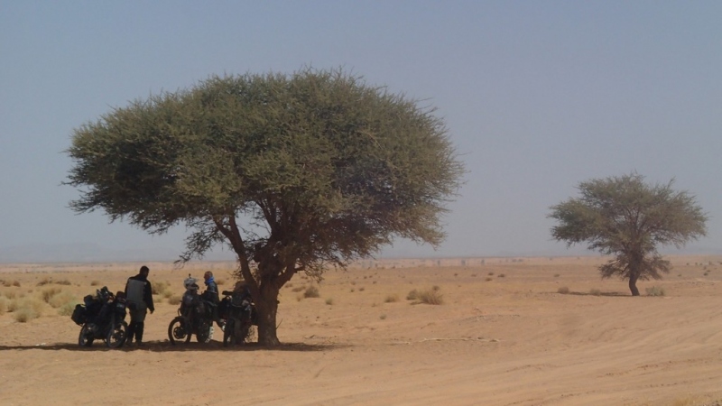 Maroko ze sedla motocyklu: ráj pro off-road - 10 - 1 Maroko cestopis (16)