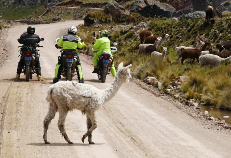 Peru a Bolívie na motocyklu: očima mámy na mateřské - 61 - 2 Peru Bolivie Rajbas (67)