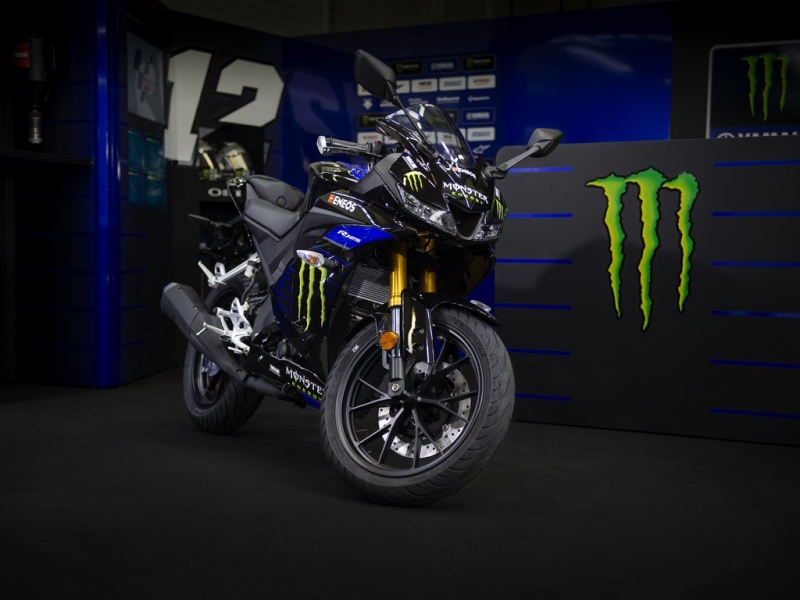 Yamaha YZF R125: speciální edice Monster Energy MotoGP - 1 - 1 Yamaha YZF R125 Monster Energy MotoGP (16)