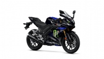 1 Yamaha YZF R125 Monster Energy MotoGP (21)
