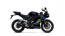 1 Yamaha YZF R125 Monster Energy MotoGP (22)