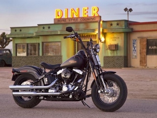 Video: Harley Davidson FLSTSB Cross Bones