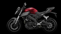 mt125 2014-yamaha-mt-125-show-how-cool-small-bikes-can-be-photo-galleryvideo_9