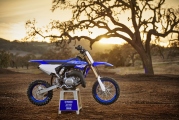 1 2018 Yamaha YZ65 (16)