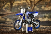 1 2018 Yamaha YZ65 (17)