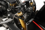 1 2019 Aprilia Tuono V4 1100 Factory (5)