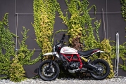 2 2019 Ducati Scrambler Desert Sled (3)