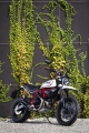 2 2019 Ducati Scrambler Desert Sled (4)