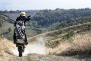 2 2019 Ducati Scrambler Desert Sled (7)