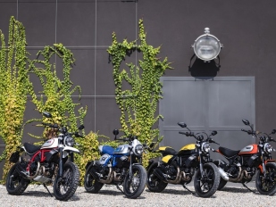 Ducati Scrambler Desert Sled, Café Racer a Full Icon 2019: JOYVOLUTION