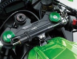 1 2019 Kawasaki ZX10-R (13)