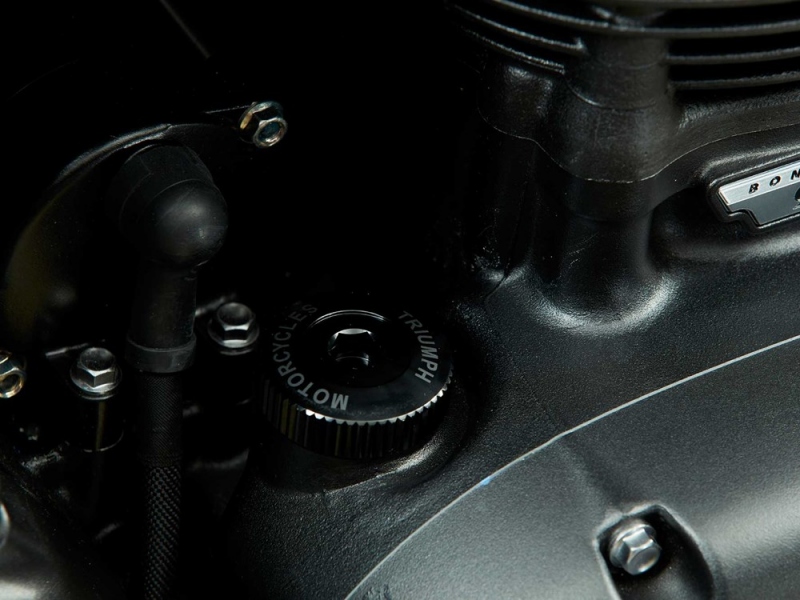 Triumph Street Twin 2019: s výkonnějším motorem - 13 - 1 2019 Triumph Street Twin (19)