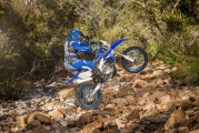1 2019 Yamaha WR450F (1)