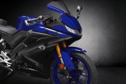 1 2019 Yamaha YZF R125 (13)