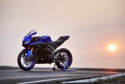 1 2019 Yamaha YZF R125 (23)