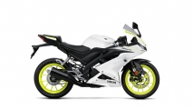 1 2019 Yamaha YZF R125 (2)