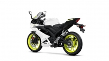 1 2019 Yamaha YZF R125 (3)