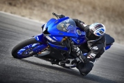 1 2019 Yamaha YZF R125 (5)