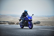 1 2019 Yamaha YZF R125 (9)