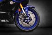 1 2019 Yamaha YZF R3 (11)