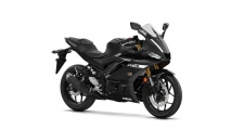 1 2019 Yamaha YZF R3 (18)