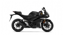 1 2019 Yamaha YZF R3 (19)